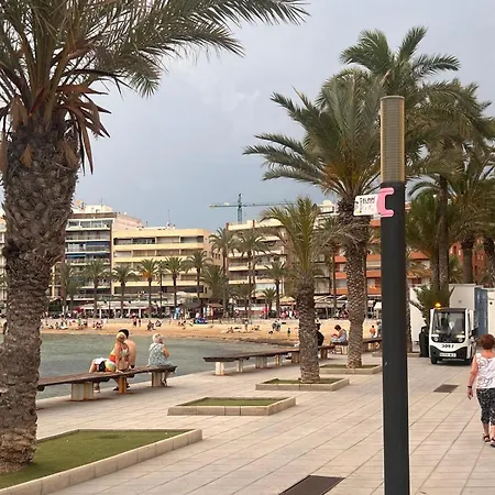 Апартаменты Elena Cosy Торевьиа