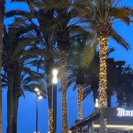 Elena Cosy 公寓 托雷维耶哈