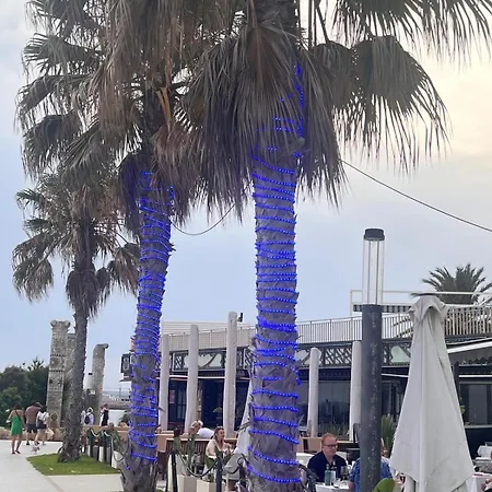 Elena Cosy 托雷维耶哈